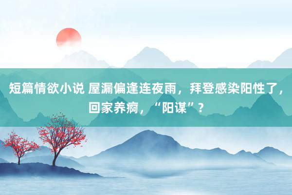 短篇情欲小说 屋漏偏逢连夜雨，拜登感染阳性了，回家养痾，“阳谋”？