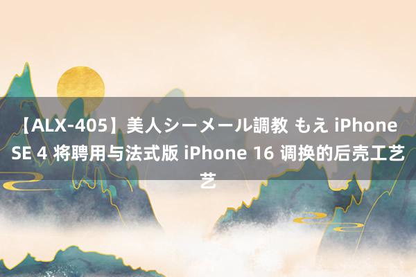 【ALX-405】美人シーメール調教 もえ iPhone SE 4 将聘用与法式版 iPhone 16 调换的后壳工艺