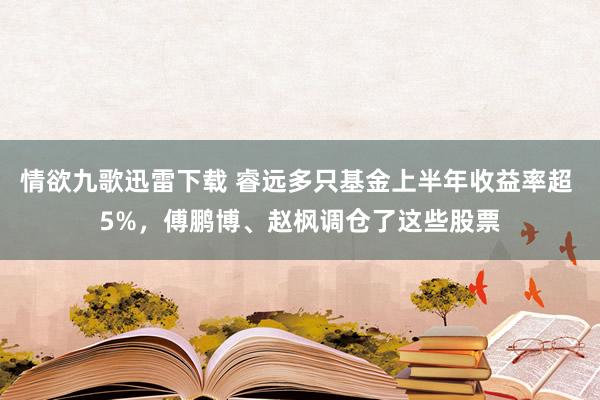 情欲九歌迅雷下载 睿远多只基金上半年收益率超 5%，傅鹏博、赵枫调仓了这些股票