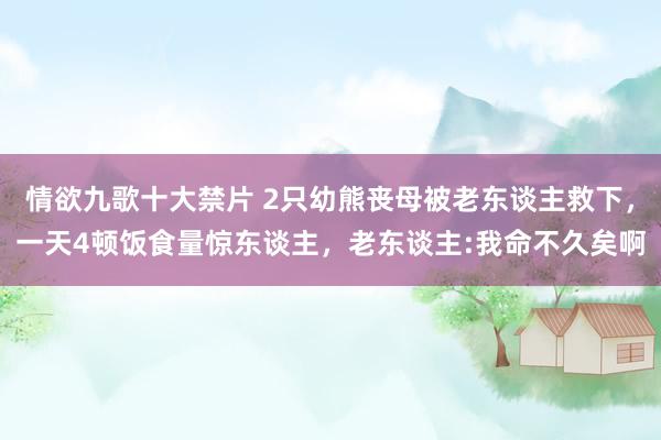 情欲九歌十大禁片 2只幼熊丧母被老东谈主救下，一天4顿饭食量惊东谈主，老东谈主:我命不久矣啊