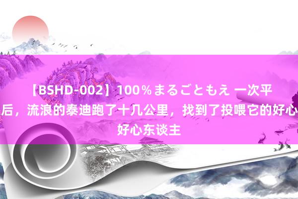 【BSHD-002】100％まるごともえ 一次平方投喂后，流浪的泰迪跑了十几公里，找到了投喂它的好心东谈主