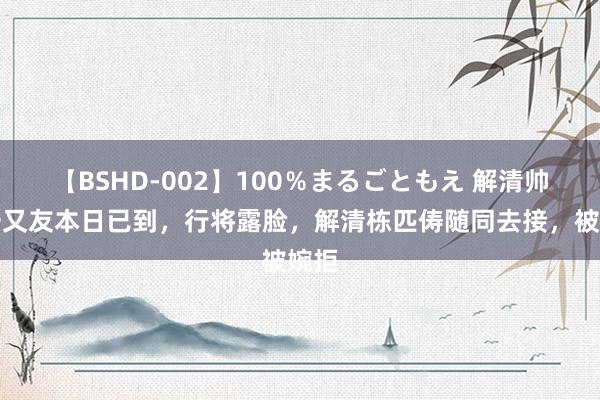 【BSHD-002】100％まるごともえ 解清帅女一又友本日已到，行将露脸，解清栋匹俦随同去接，被婉拒