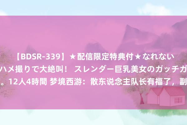 【BDSR-339】★配信限定特典付★なれない感じの新人ちゃんが初ハメ撮りで大絶叫！ スレンダー巨乳美女のガッチガチ生本番。12人4時間 梦境西游：散东说念主队长有福了，副本刷一半就不错，相似能天命抽奖