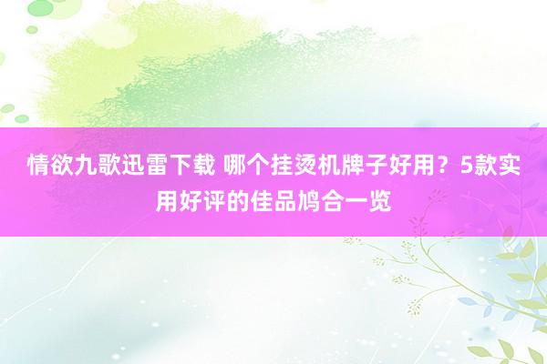 情欲九歌迅雷下载 哪个挂烫机牌子好用？5款实用好评的佳品鸠合一览