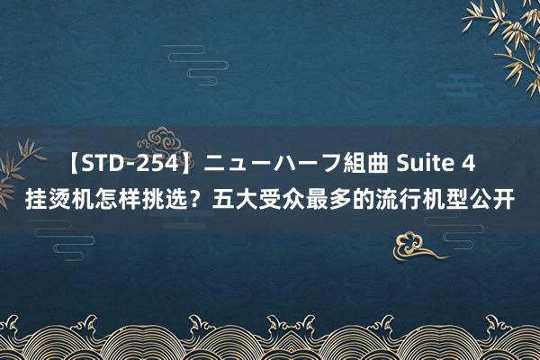 【STD-254】ニューハーフ組曲 Suite 4 挂烫机怎样挑选？五大受众最多的流行机型公开