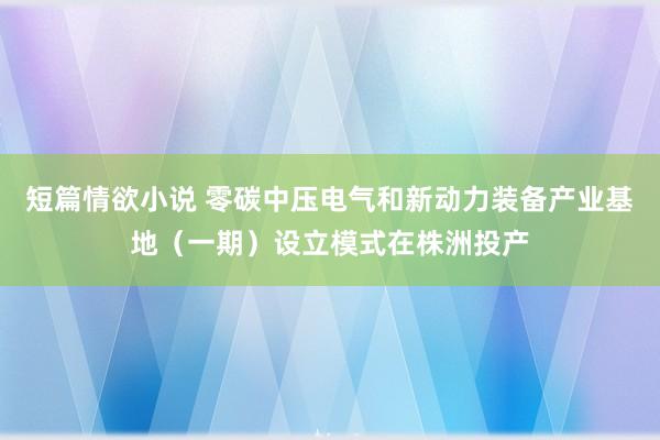 短篇情欲小说 零碳中压电气和新动力装备产业基地（一期）设立模式在株洲投产