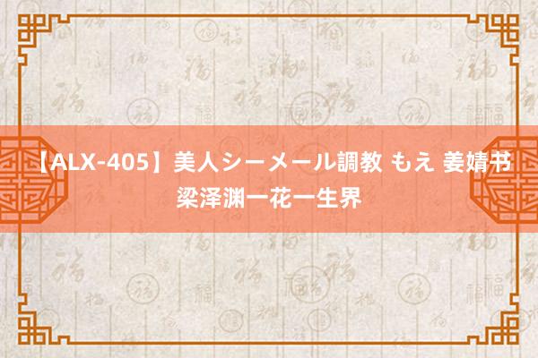 【ALX-405】美人シーメール調教 もえ 姜婧书梁泽渊一花一生界