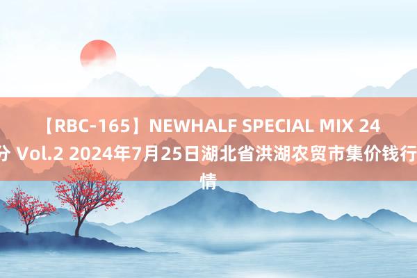 【RBC-165】NEWHALF SPECIAL MIX 240分 Vol.2 2024年7月25日湖北省洪湖农贸市集价钱行情