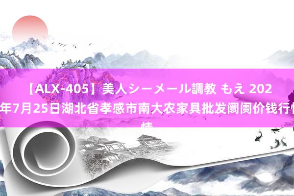 【ALX-405】美人シーメール調教 もえ 2024年7月25日湖北省孝感市南大农家具批发阛阓价钱行情