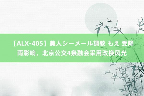 【ALX-405】美人シーメール調教 もえ 受降雨影响，北京公交4条融会采用改换风光