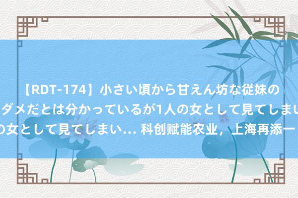 【RDT-174】小さい頃から甘えん坊な従妹の発育途中の躰が気になりダメだとは分かっているが1人の女として見てしまい… 科创赋能农业，上海再添一“谷”