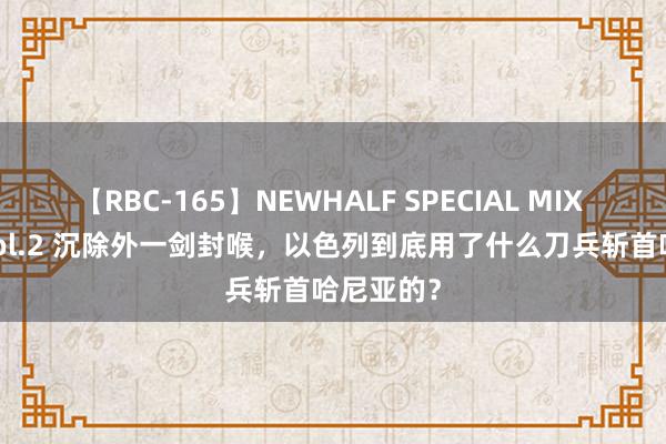 【RBC-165】NEWHALF SPECIAL MIX 240分 Vol.2 沉除外一剑封喉，以色列到底用了什么刀兵斩首哈尼亚的？