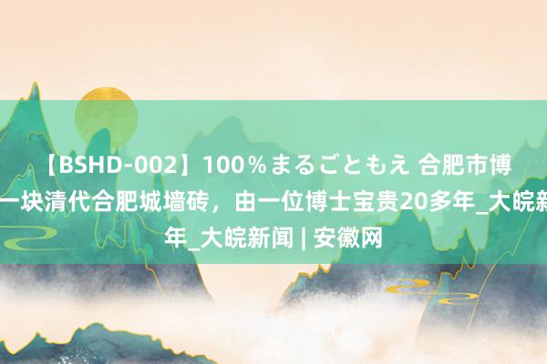 【BSHD-002】100％まるごともえ 合肥市博物馆搜集到一块清代合肥城墙砖，由一位博士宝贵20多年_大皖新闻 | 安徽网