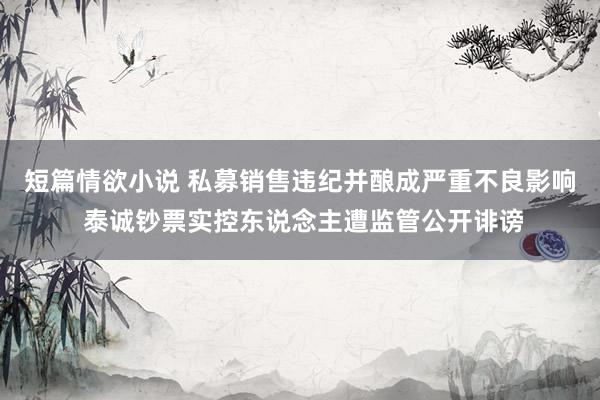 短篇情欲小说 私募销售违纪并酿成严重不良影响 泰诚钞票实控东说念主遭监管公开诽谤