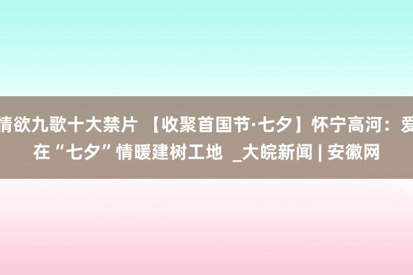 情欲九歌十大禁片 【收聚首国节·七夕】怀宁高河：爱在“七夕”情暖建树工地  _大皖新闻 | 安徽网