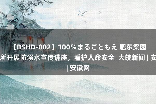 【BSHD-002】100％まるごともえ 肥东梁园派出所开展防溺水宣传讲座，看护人命安全_大皖新闻 | 安徽网