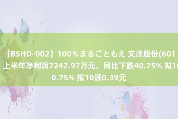 【BSHD-002】100％まるごともえ 文峰股份(601010.SH)：上半年净利润7242.97万元，同比下跌40.75% 拟10派0.39元