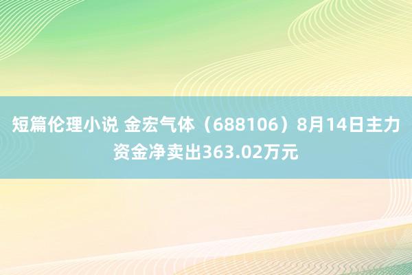 短篇伦理小说 金宏气体（688106）8月14日主力资金净卖出363.02万元