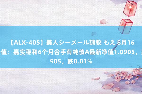 【ALX-405】美人シーメール調教 もえ 8月16日基金净值：嘉实稳和6个月合手有纯债A最新净值1.0905，跌0.01%