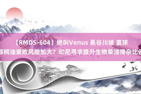 【RMDS-604】絶叫Venus 長谷川綾 寰球棕榈油衰败风险加大？印尼寻求提升生物柴油搀杂比例