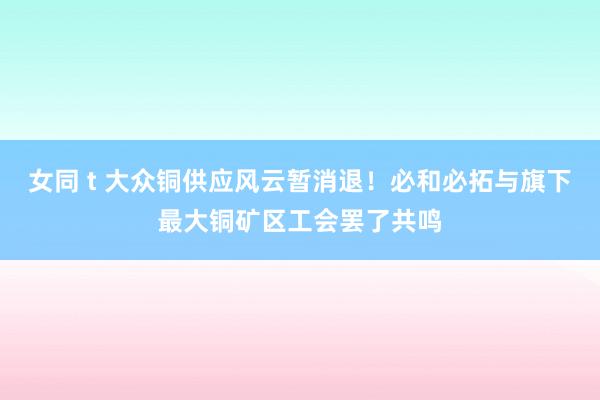 女同 t 大众铜供应风云暂消退！必和必拓与旗下最大铜矿区工会罢了共鸣