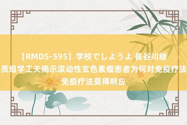 【RMDS-595】学校でしようよ 長谷川綾 利用卵白质组学工夫揭示滚动性玄色素瘤患者为何对免疫疗法莫得响应