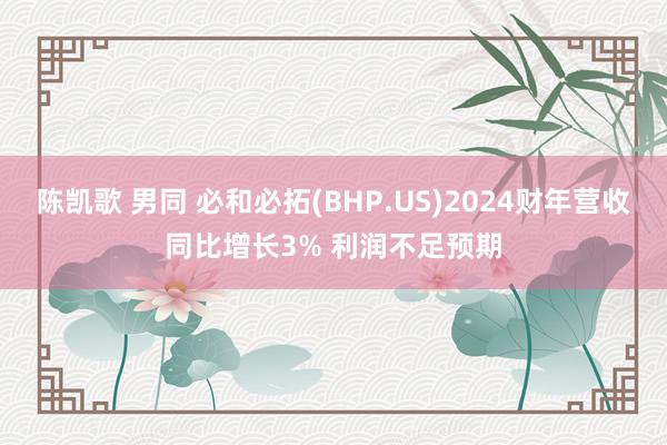 陈凯歌 男同 必和必拓(BHP.US)2024财年营收同比增长3% 利润不足预期