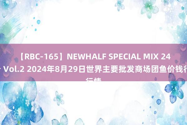 【RBC-165】NEWHALF SPECIAL MIX 240分 Vol.2 2024年8月29日世界主要批发商场团鱼价钱行情