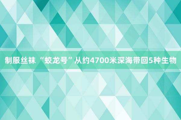 制服丝袜 “蛟龙号”从约4700米深海带回5种生物