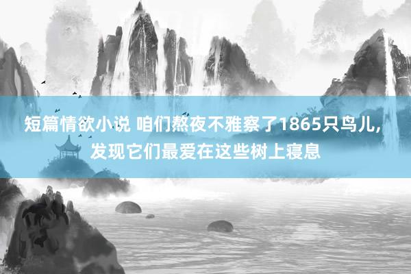 短篇情欲小说 咱们熬夜不雅察了1865只鸟儿， 发现它们最爱在这些树上寝息