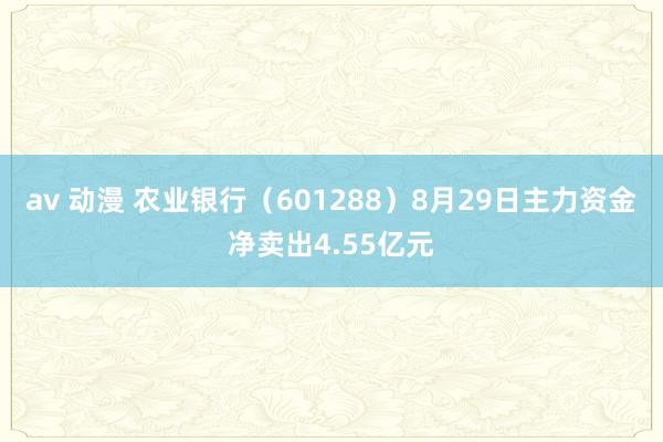 av 动漫 农业银行（601288）8月29日主力资金净卖出4.55亿元