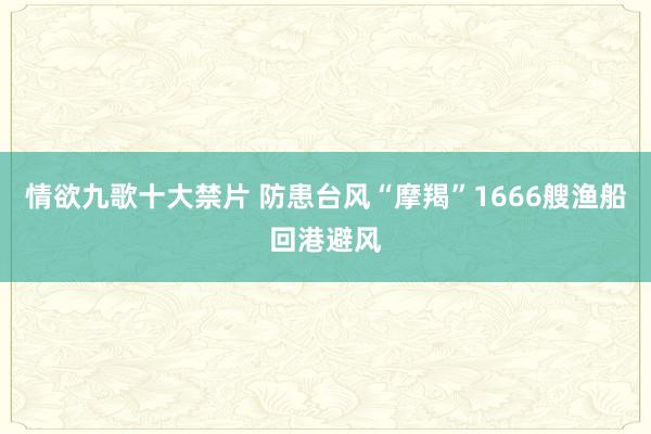 情欲九歌十大禁片 防患台风“摩羯”1666艘渔船回港避风