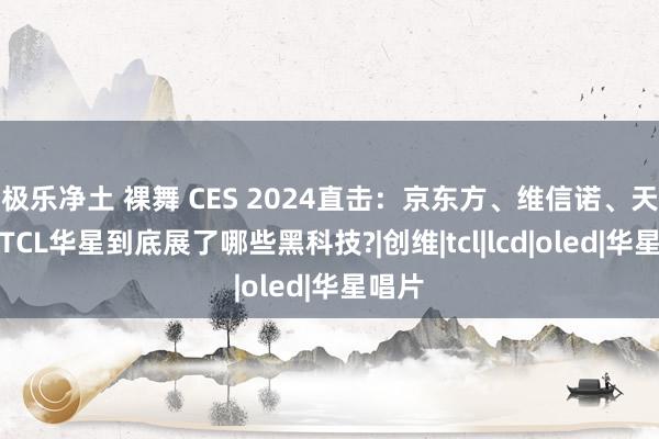 极乐净土 裸舞 CES 2024直击：京东方、维信诺、天马、TCL华星到底展了哪些黑科技?|创维|tcl|lcd|oled|华星唱片