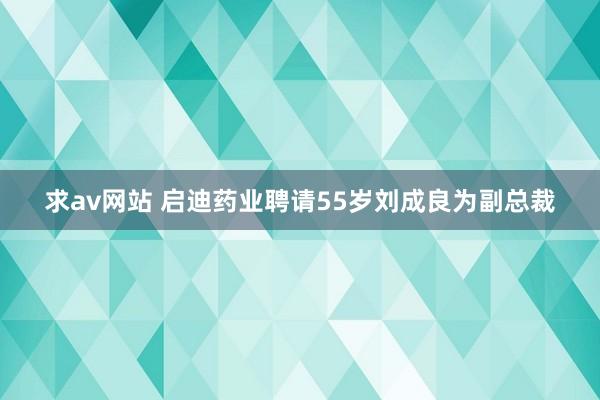 求av网站 启迪药业聘请55岁刘成良为副总裁