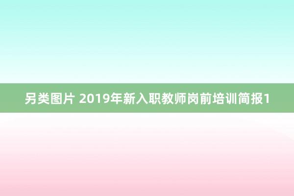 另类图片 2019年新入职教师岗前培训简报1